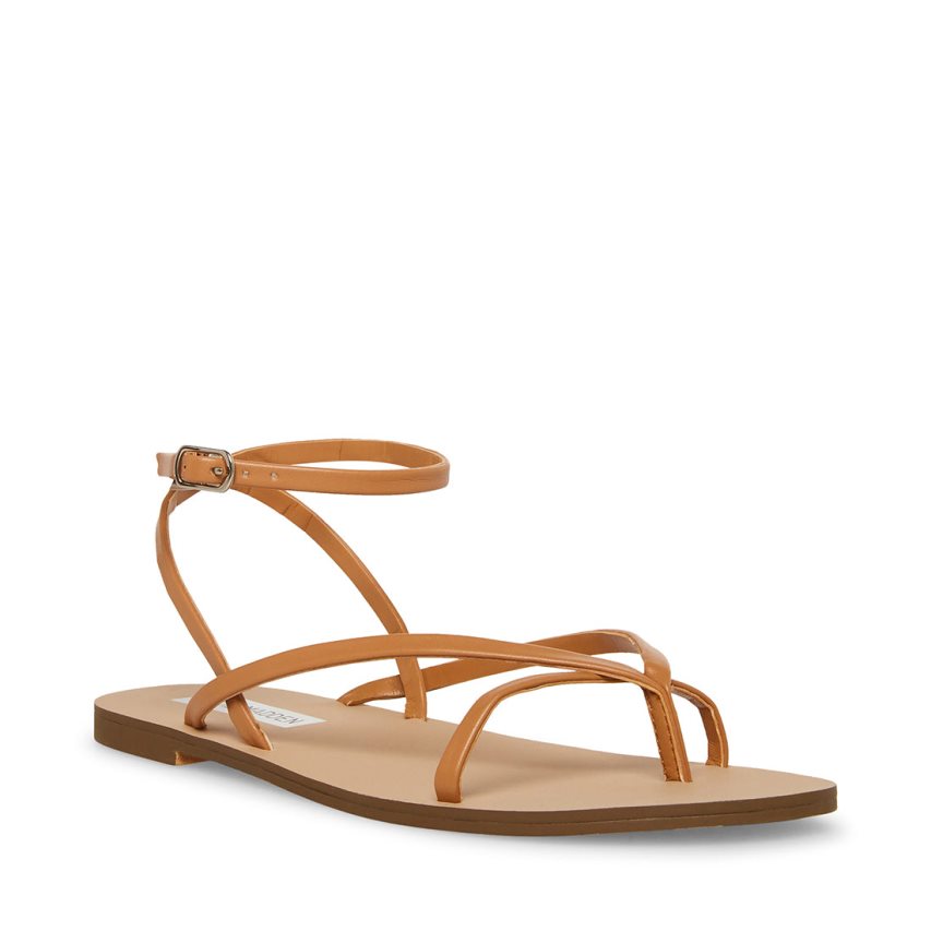 Steve Madden Amuse Flate Sandaler Dame Brune | QSDCB7095