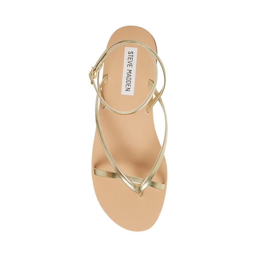 Steve Madden Amuse Flate Sandaler Dame Gull | HSCKR2149