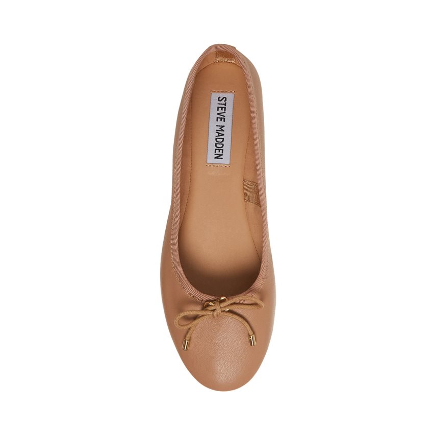 Steve Madden Blossoms Lær Ballerinasko Dame Brune | OGXRN4785