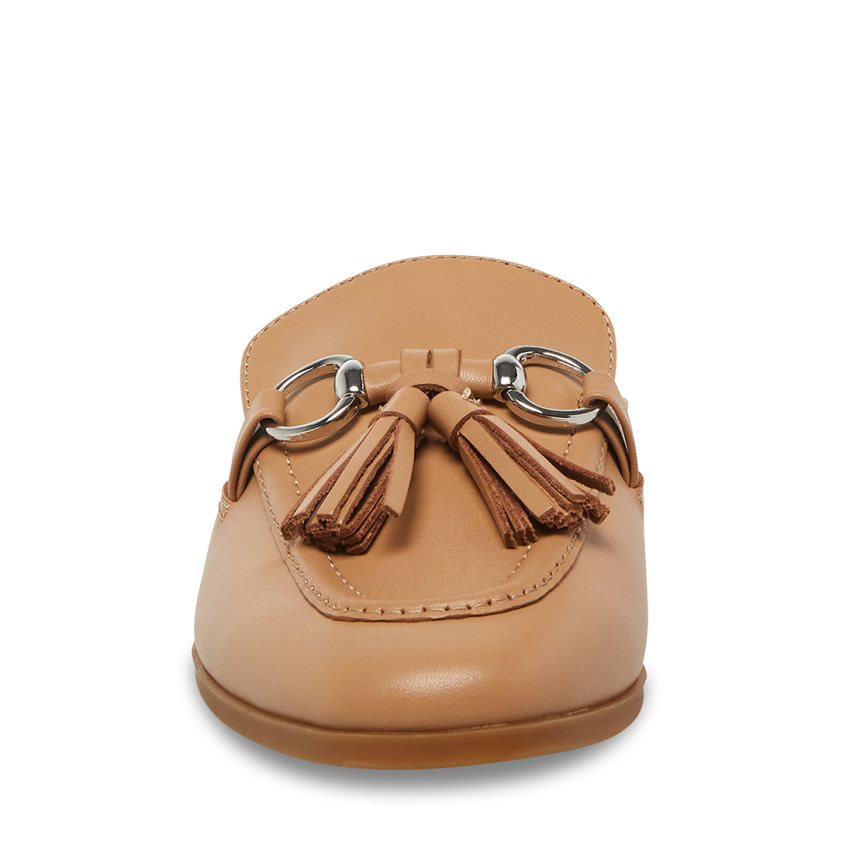 Steve Madden Cayler Lær Mules Sko Dame Brune | SYOGT3172