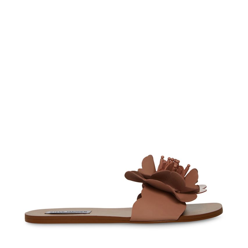 Steve Madden Chelsea Flate Sandaler Dame Brune | VXZLD3821