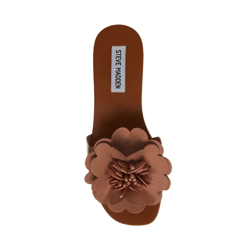 Steve Madden Chelsea Flate Sandaler Dame Brune | VXZLD3821