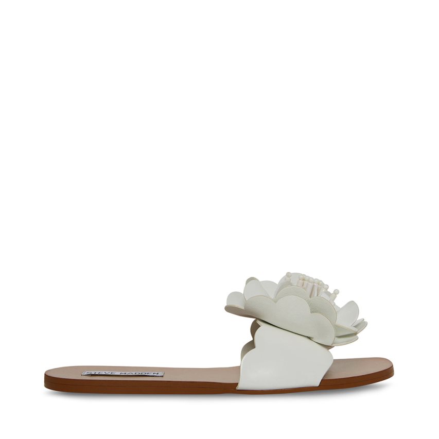 Steve Madden Chelsea Flate Sandaler Dame Hvite | ZFSXC2139