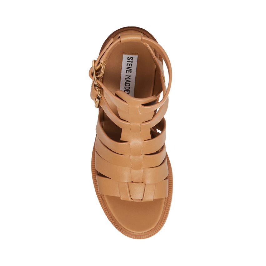 Steve Madden Cosmic Sandaler med Hæl Dame Brune | DIBSX1309