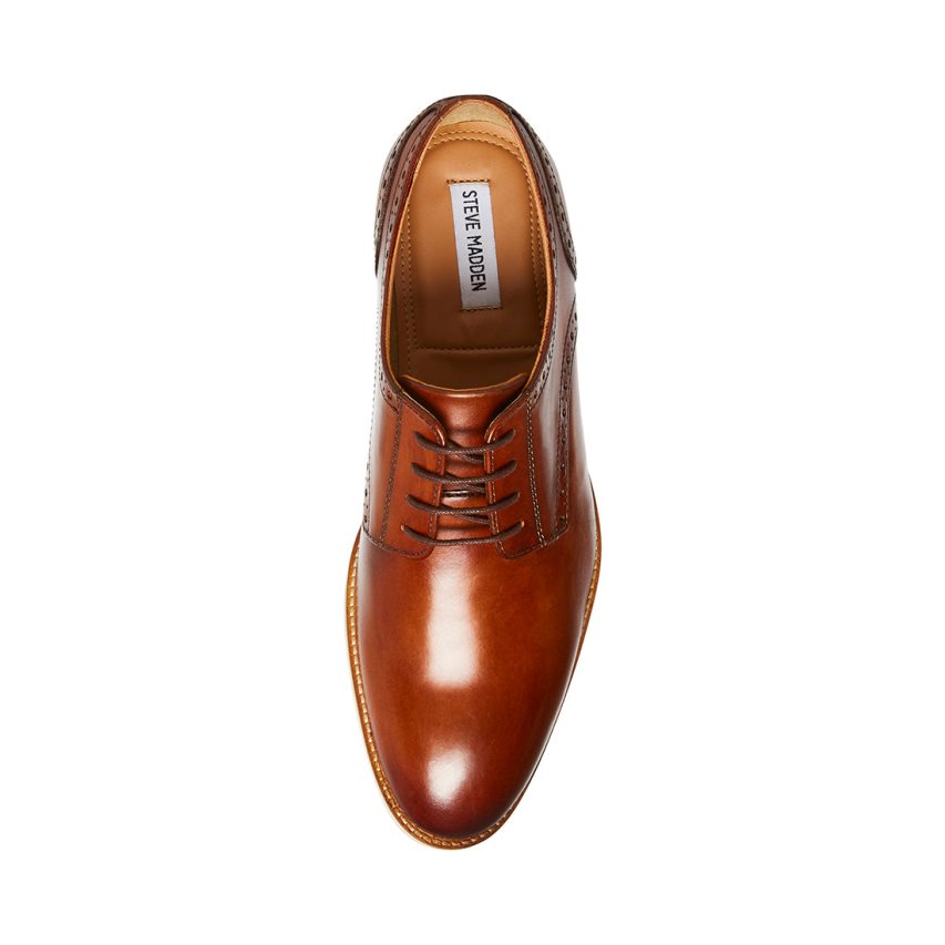 Steve Madden Derbyy Lær Derby Sko Herre Brune | HWNUC9831