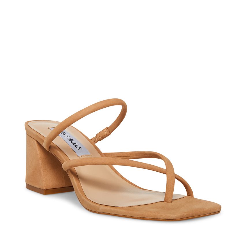 Steve Madden Effie Nubuck Sandaler med Hæl Dame Brune | ZPITQ8935