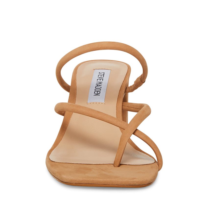 Steve Madden Effie Nubuck Sandaler med Hæl Dame Brune | ZPITQ8935