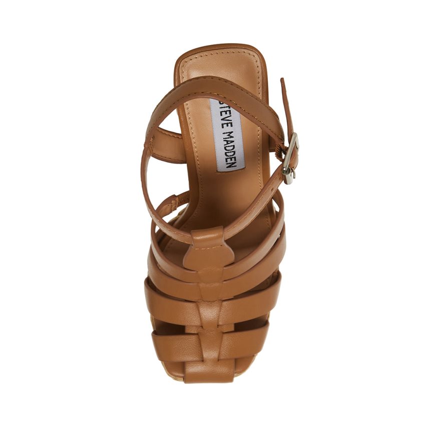 Steve Madden Gallery Lær Sandaler med Hæl Dame Brune | FZQBU6917