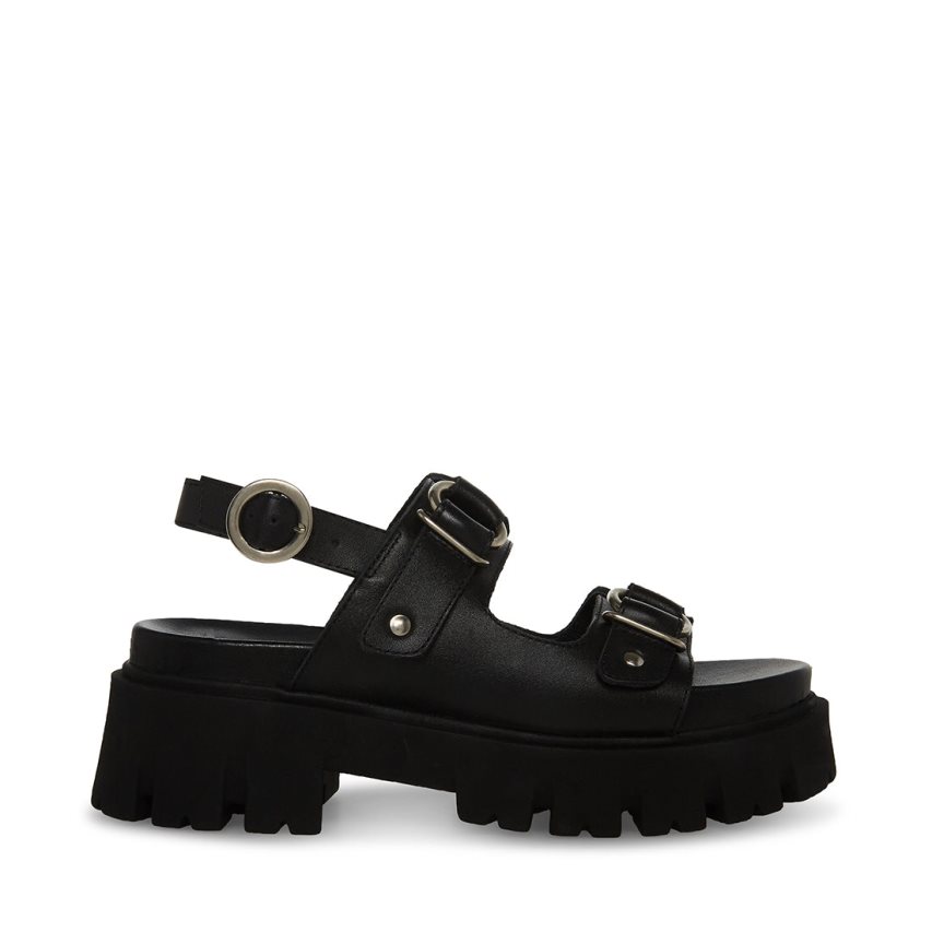 Steve Madden Garrick Lær Platåsandaler Dame Svarte | ERAFQ9735