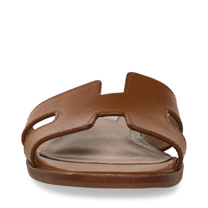 Steve Madden Hadyn Lær Badesandaler Dame Brune | VBPDJ2380