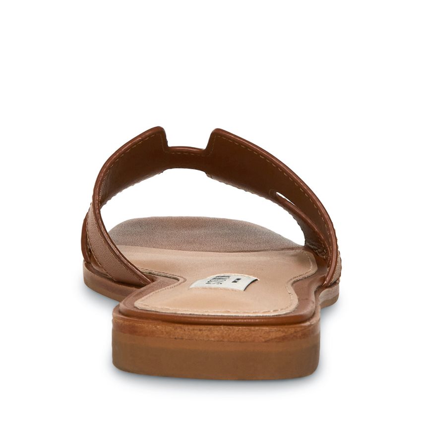 Steve Madden Hadyn Lær Badesandaler Dame Brune | VBPDJ2380