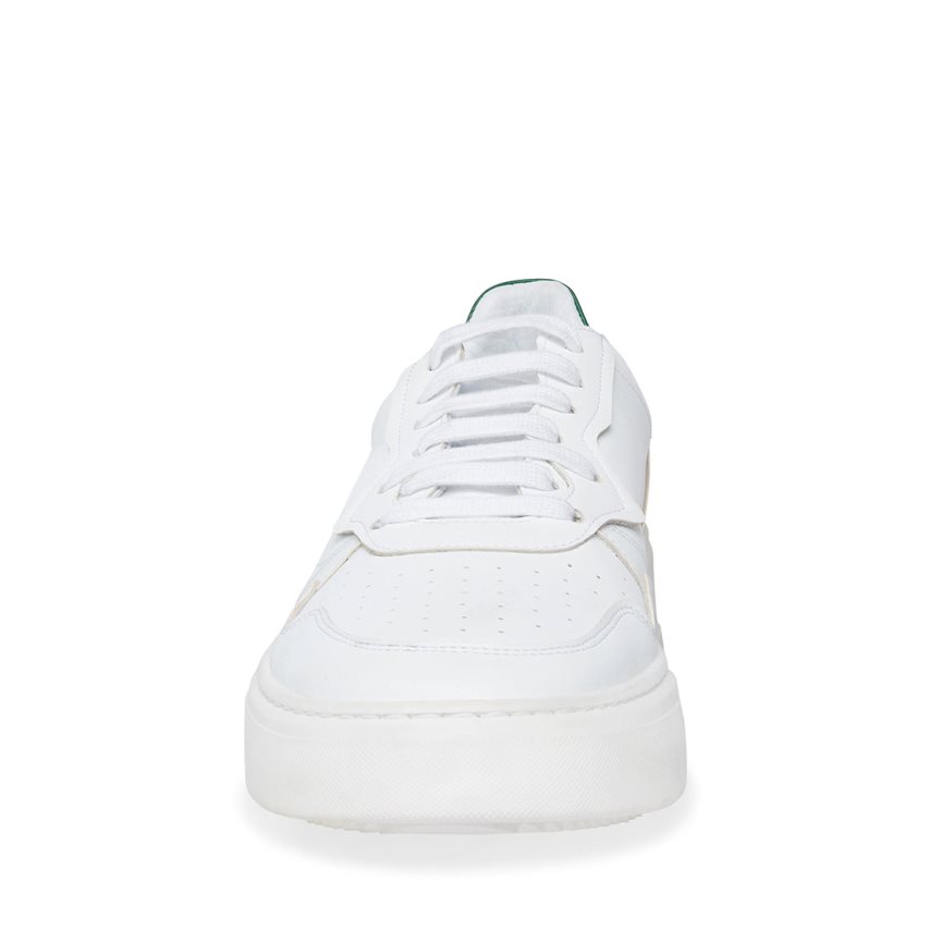 Steve Madden Jorgee Joggesko Herre Hvite | JBUZM3546