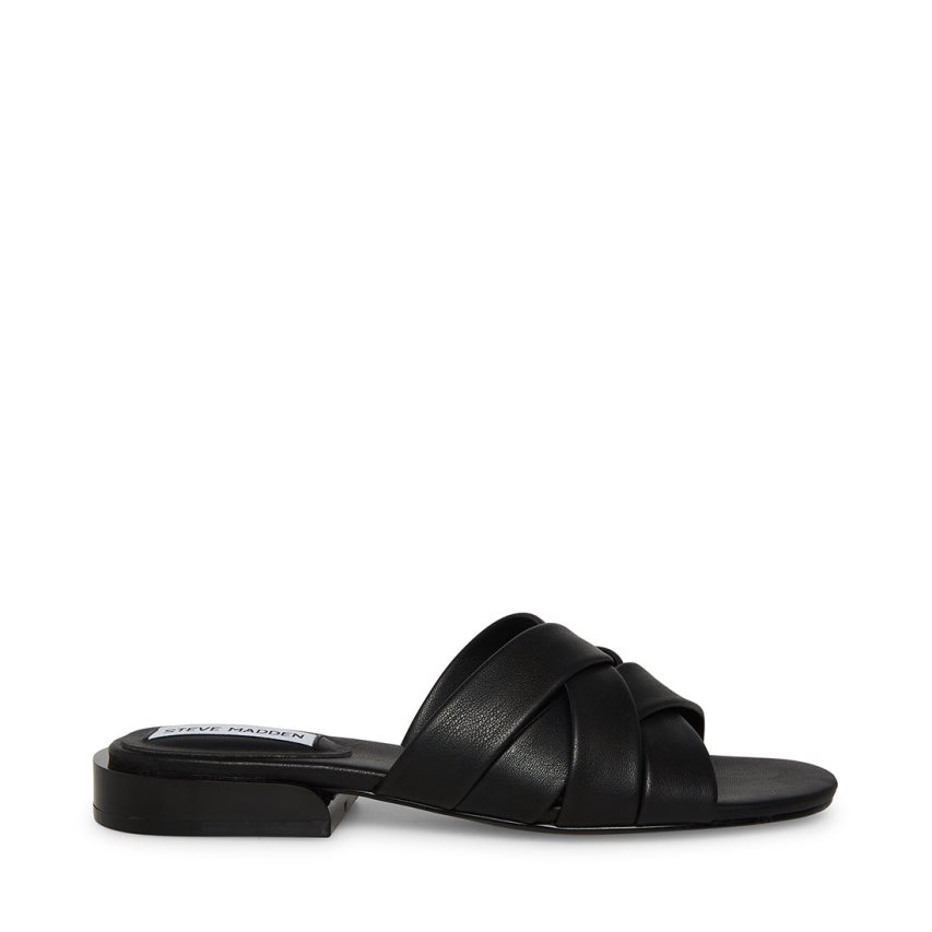 Steve Madden Kessy Mules Sko Dame Svarte | TWUIR6132