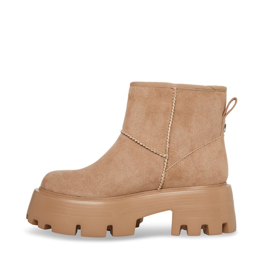 Steve Madden Macen Platform Sko Dame Lyse Brune | AIJZY3248