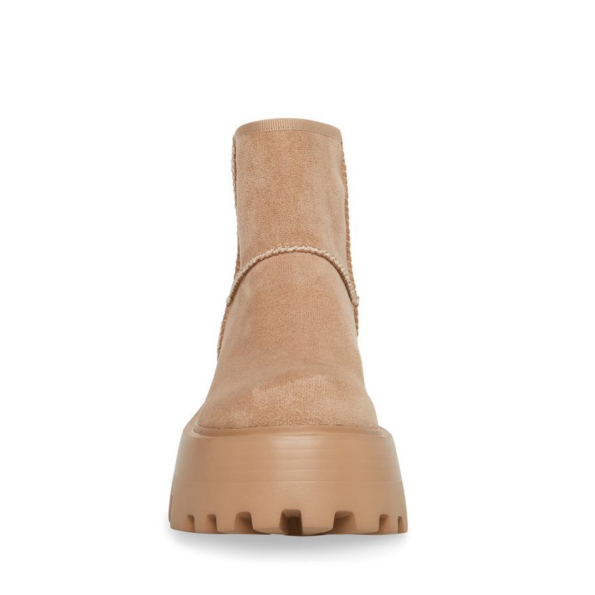 Steve Madden Macen Platform Sko Dame Lyse Brune | AIJZY3248