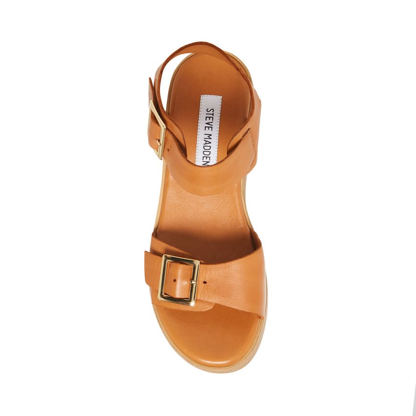 Steve Madden Marka Lær Platåsandaler Dame Brune | NSDQB4701