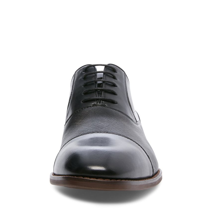 Steve Madden Proctor Lær Derby Sko Herre Svarte | VJSDG5421