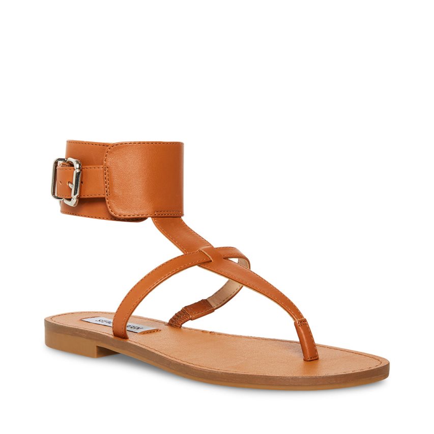 Steve Madden Rico Lær Flate Sandaler Dame Brune | YZEJU8530