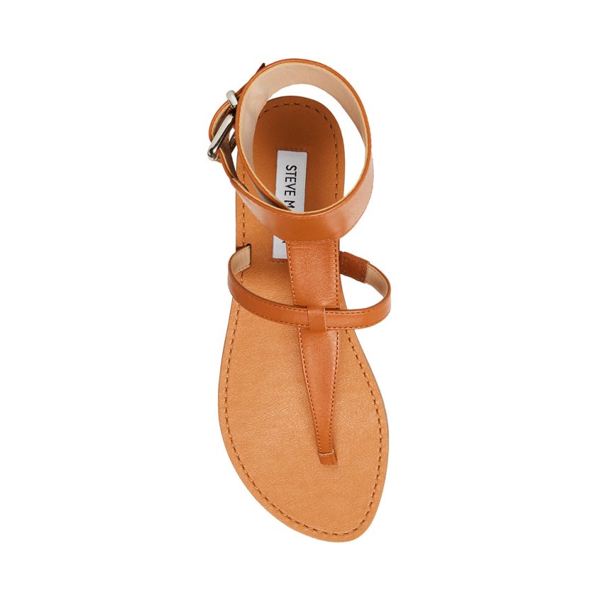 Steve Madden Rico Lær Flate Sandaler Dame Brune | YZEJU8530