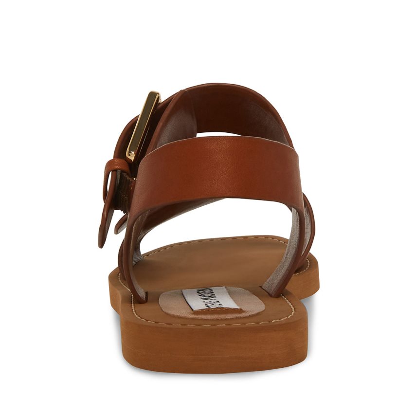 Steve Madden Santo Lær Flate Sandaler Dame Brune | YWJOG7419