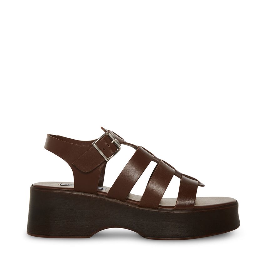 Steve Madden Sarai Lær Platåsandaler Dame Mørke Brune | DCXYW6748