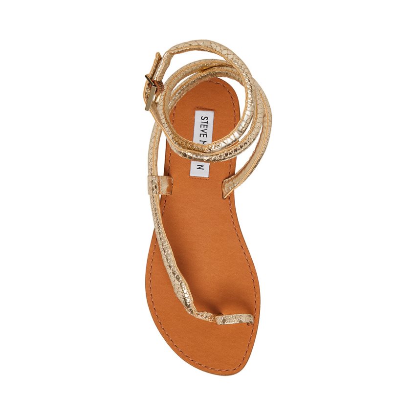 Steve Madden Scales Snake Flate Sandaler Dame Gull | TPHWB0543