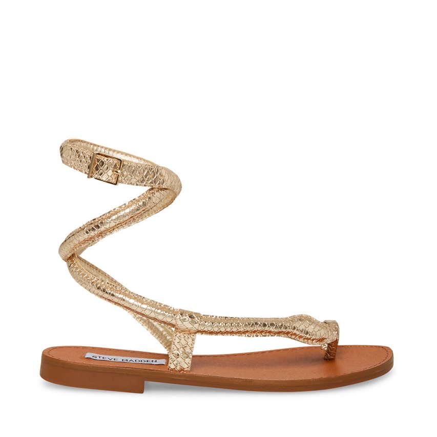 Steve Madden Scales Snake Flate Sandaler Dame Gull | TPHWB0543