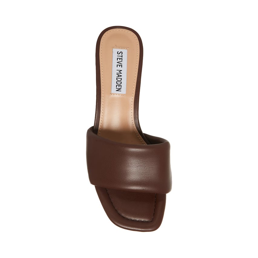 Steve Madden Syrah Mules Sko Dame Mørke Brune | MBRAG6310