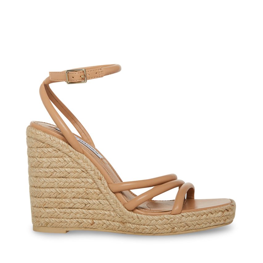 Steve Madden Taylor Wedge Dame Brune | VSEPB9738