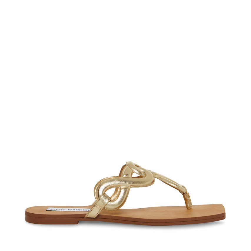 Steve Madden Terri Flip Flops Dame Gull | SFQUO1952