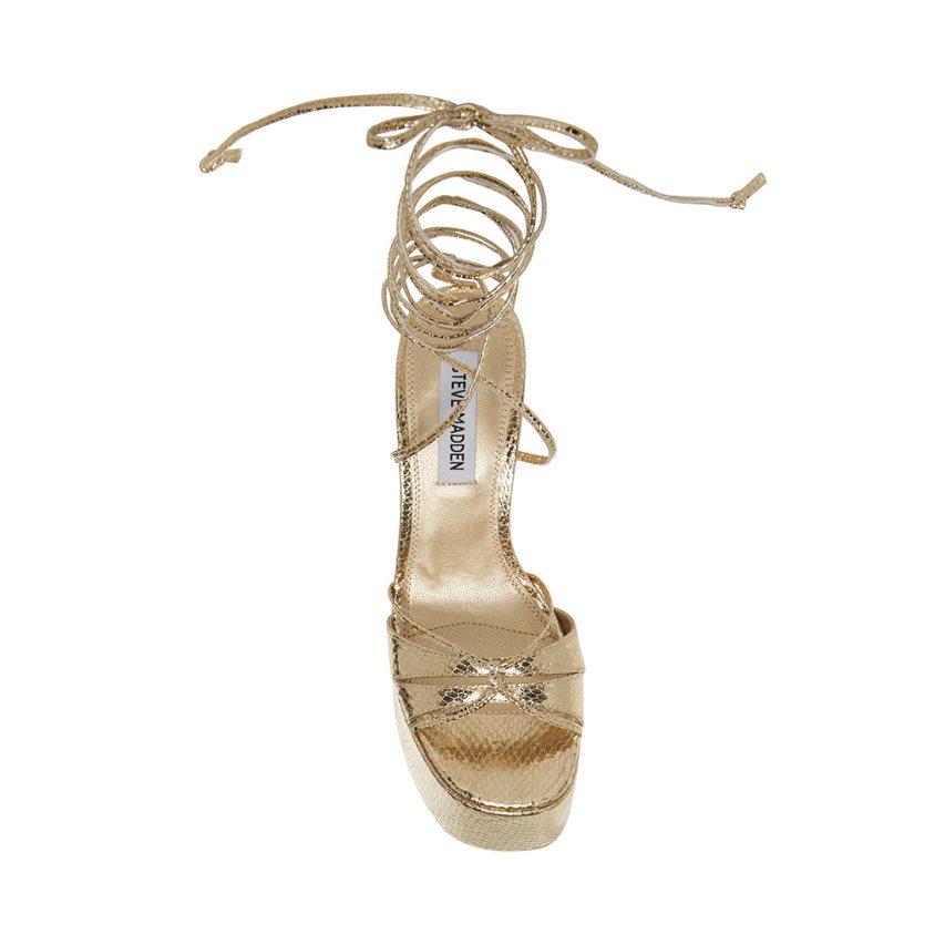 Steve Madden Yasmyn Snake Sandaler med Hæl Dame Gull | VXJEQ8247