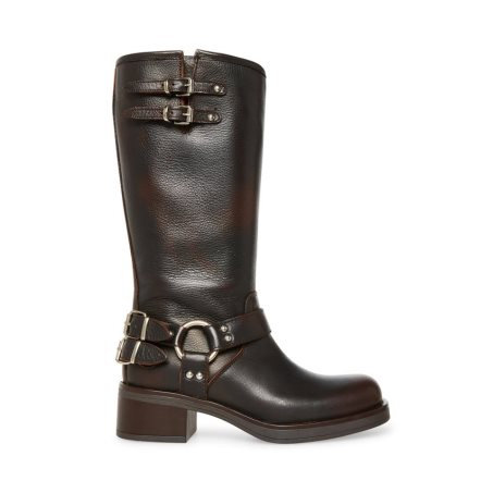 Steve Madden Axelle Lær Høye Støvletter Dame Mørke Brune | HKDQS4987