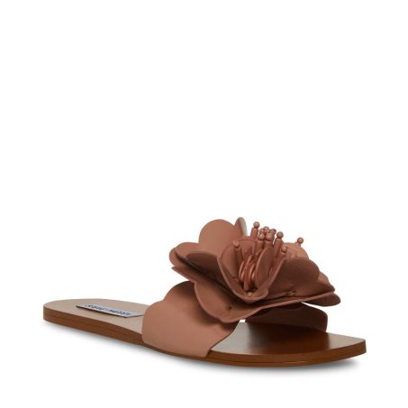 Steve Madden Chelsea Flate Sandaler Dame Brune | VXZLD3821