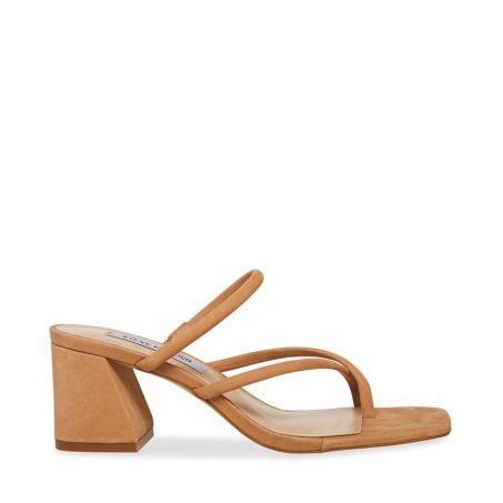 Steve Madden Effie Nubuck Sandaler med Hæl Dame Brune | ZPITQ8935