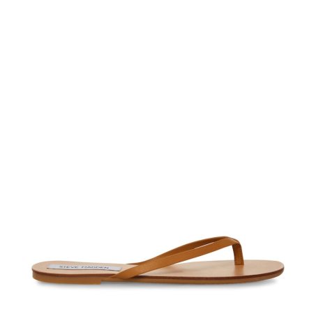 Steve Madden Image Lær Flip Flops Dame Brune | EONDA9164