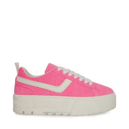 Steve Madden Rorri Semsket Skinn Platform Sko Dame Rosa | PJQTH8526