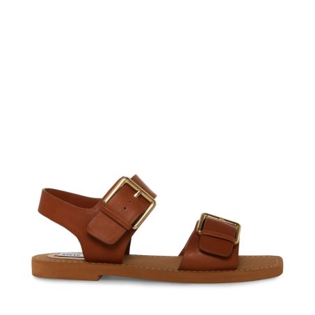 Steve Madden Santo Lær Flate Sandaler Dame Brune | YWJOG7419