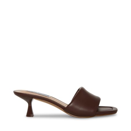 Steve Madden Syrah Mules Sko Dame Mørke Brune | MBRAG6310