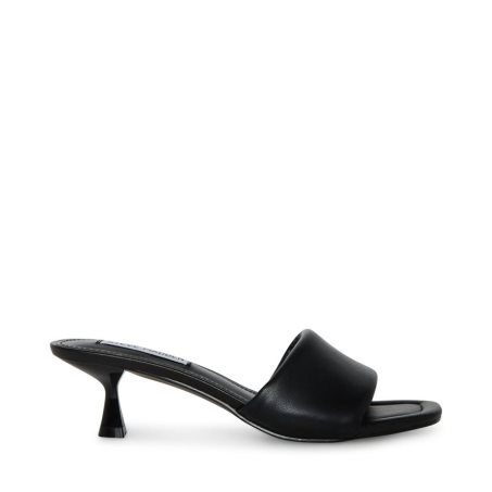 Steve Madden Syrah Mules Sko Dame Svarte | EPCIV0698