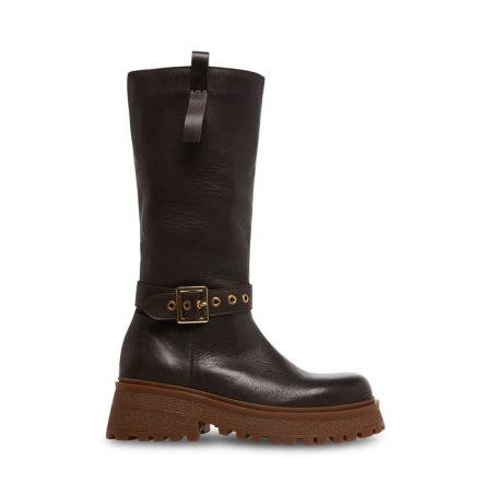 Steve Madden Willow Lær Høye Støvletter Dame Mørke Brune | PMNIC6189